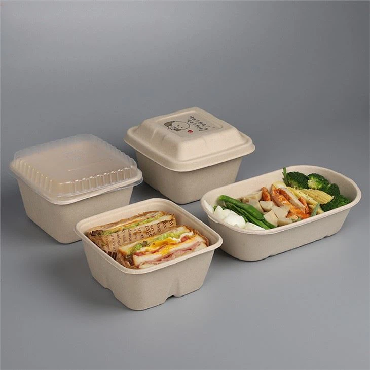 bagasse box dari tebu sebagai alternatif kemasan styrofoam