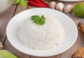 menu nasi