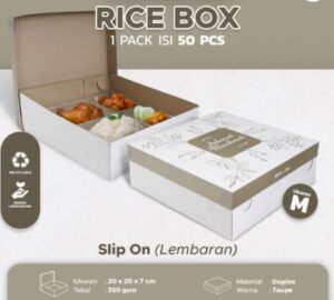 box nasi padang